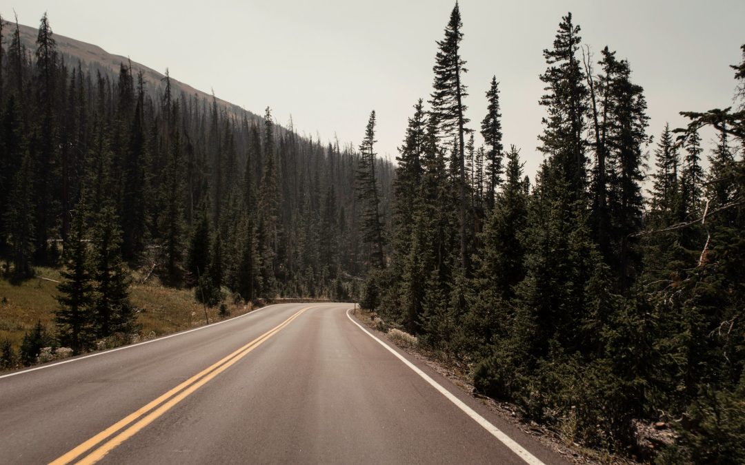 Waarom je niet hetzelfde moet blijven doen.